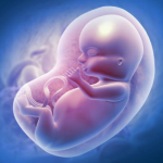 AI IVF Baby