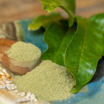 Mango Leaf Reduce Diabetes Quickly!