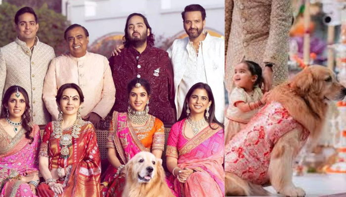 Read more about the article Ambani Family Dog Death | அம்பானி வீட்டில் சோகம்!