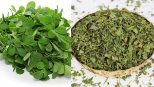 Read more about the article Fenugreek Leaves | வீட்டிலேயே கஸ்தூரி மேத்தி