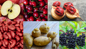 Read more about the article Toxic Kitchen Foods | சமையலறை ரகசிய வில்லன்கள்!