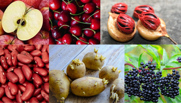 Read more about the article Toxic Kitchen Foods | சமையலறை ரகசிய வில்லன்கள்!