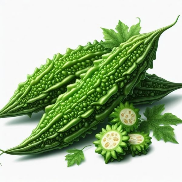 Bitter-Gourd-e1759150907438.jpg