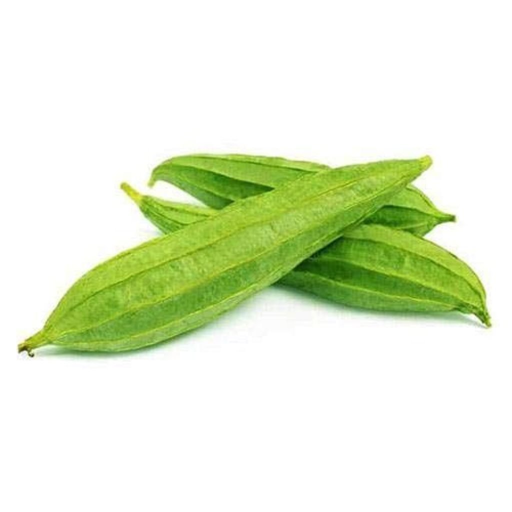 Sponge Gourd
