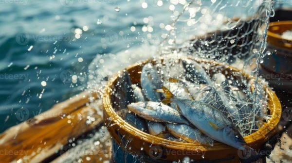 fish-e1759142380696.jpg