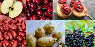 Toxic Kitchen Foods